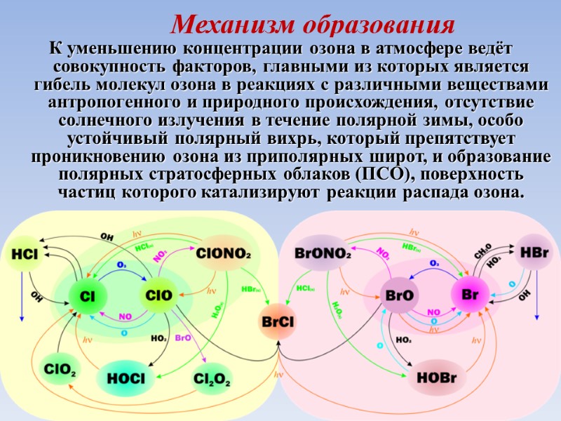 Механизм образования К уменьшению концентрации озона в атмосфере ведёт совокупность факторов, главными из которых